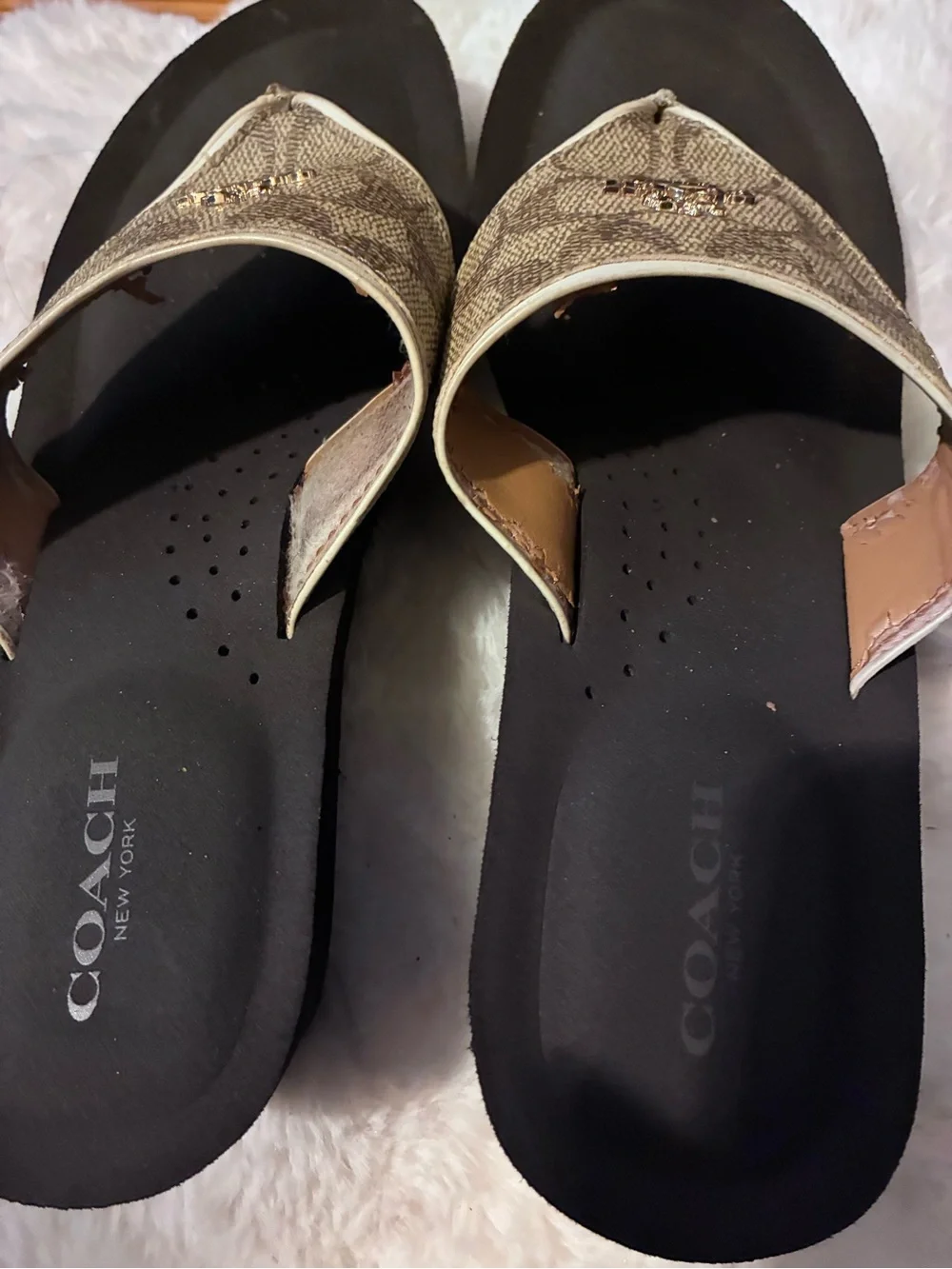 Coach Signature Canvas Thong Sandals in Brown and Black